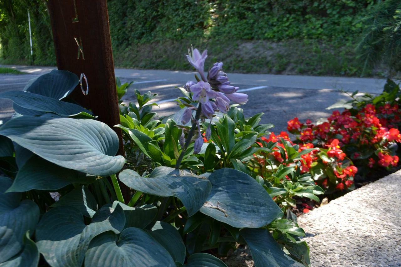 Gaestehaus Pfisterer Guest house Bad Schallerbach